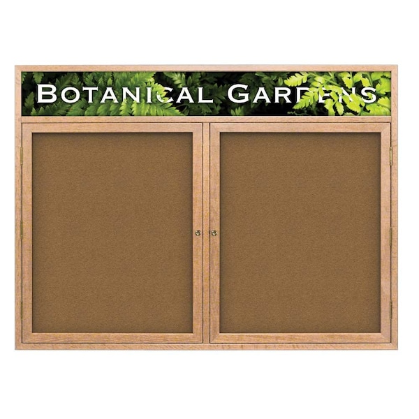 Open Faced Traditional Corkboard, 60x36"